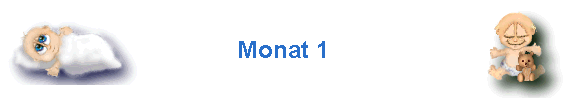 Monat 1