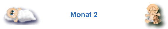 Monat 2