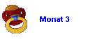 Monat 3